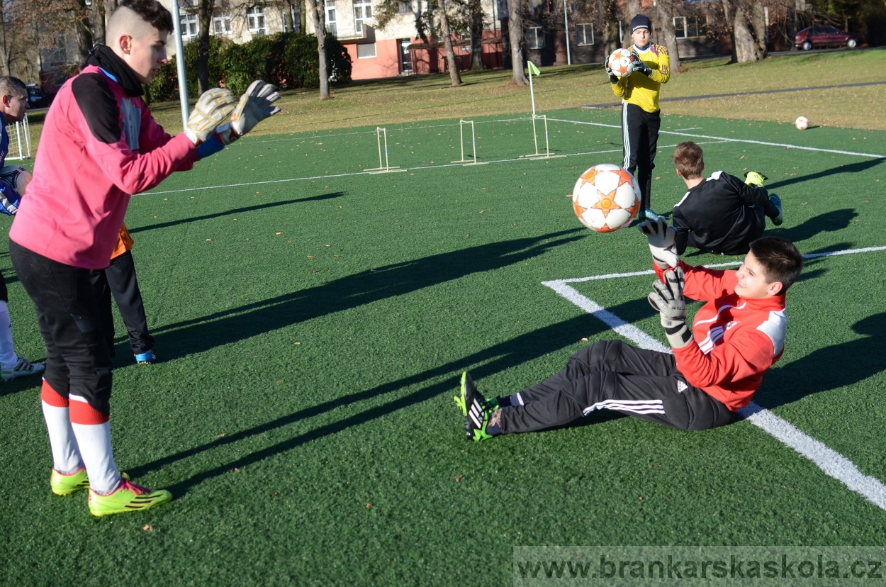 BFŠJCH - Zima 2016 - 8.2.2016