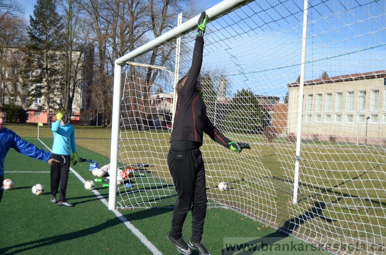 BFŠJCH - Zima 2016 - 8.2.2016