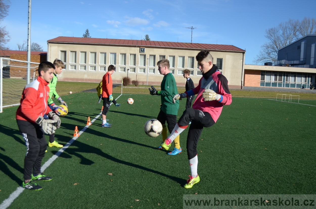 BFŠJCH - Zima 2016 - 8.2.2016