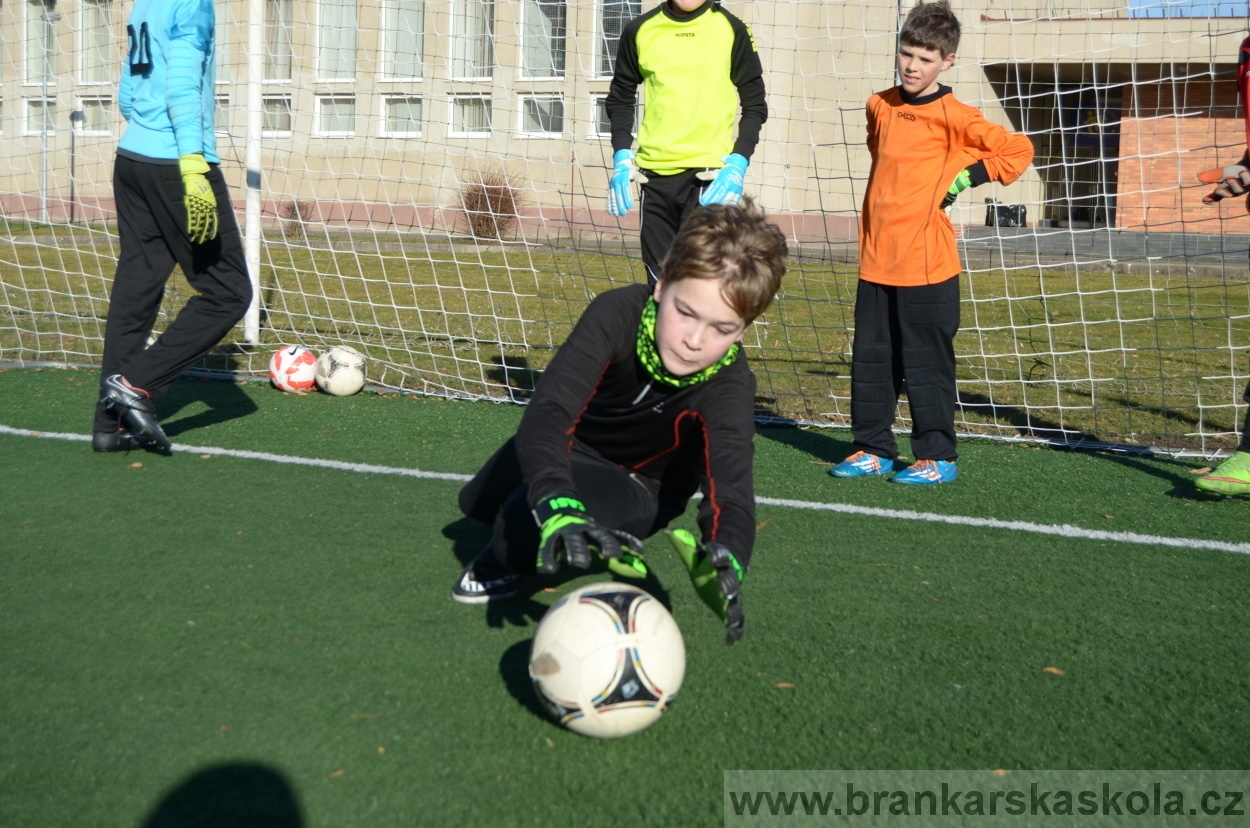 BFŠJCH - Zima 2016 - 8.2.2016