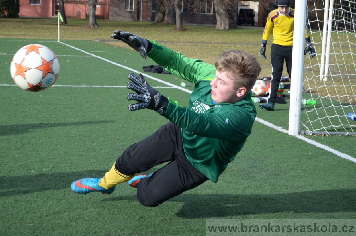 BFŠJCH - Zima 2016 - 8.2.2016