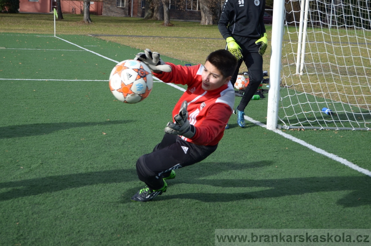 BFŠJCH - Zima 2016 - 8.2.2016