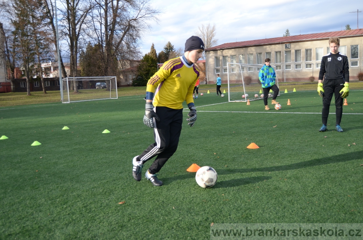 BFŠJCH - Zima 2016 - 8.2.2016