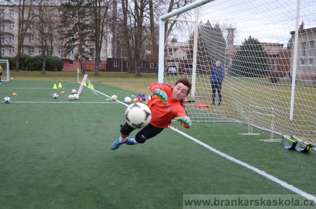 BFŠJCH - Zima 2016 - 8.2.2016