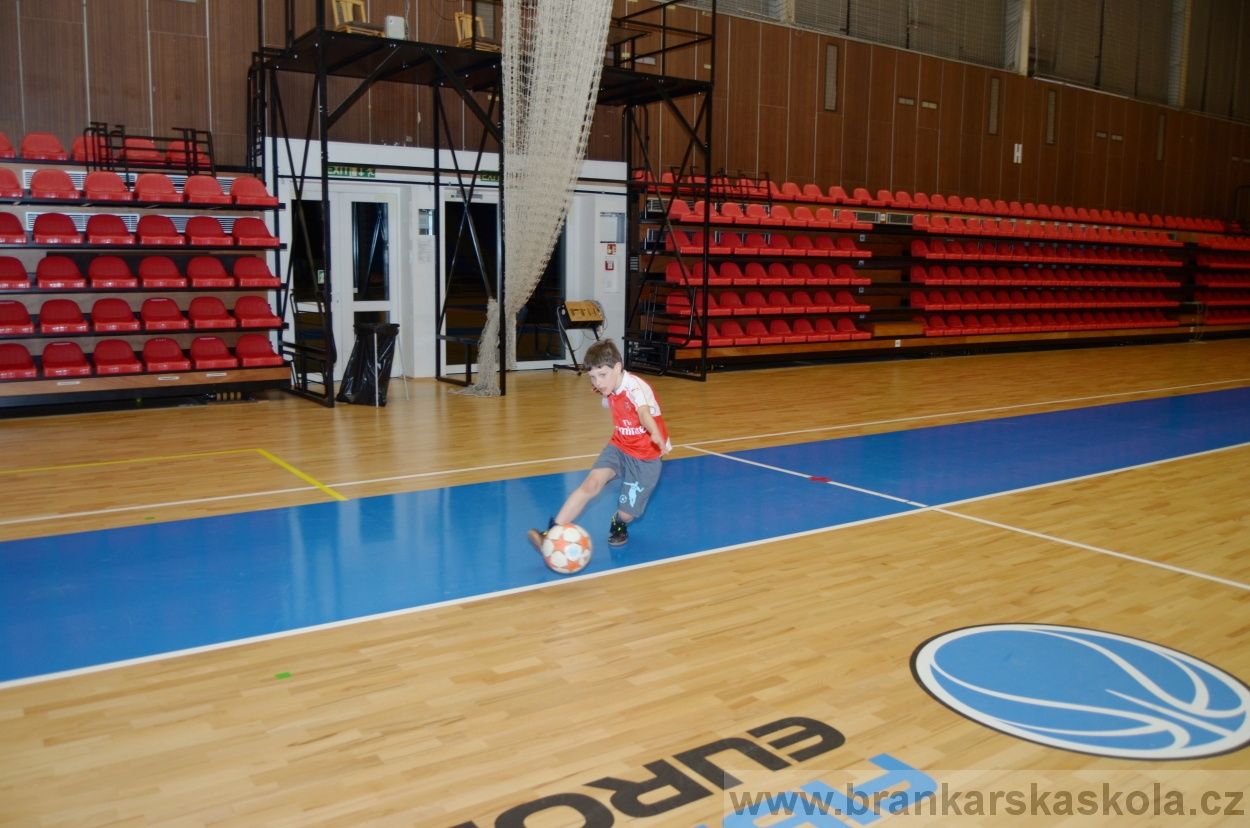 BFŠJCH - Zima 2016 - 8.2.2016