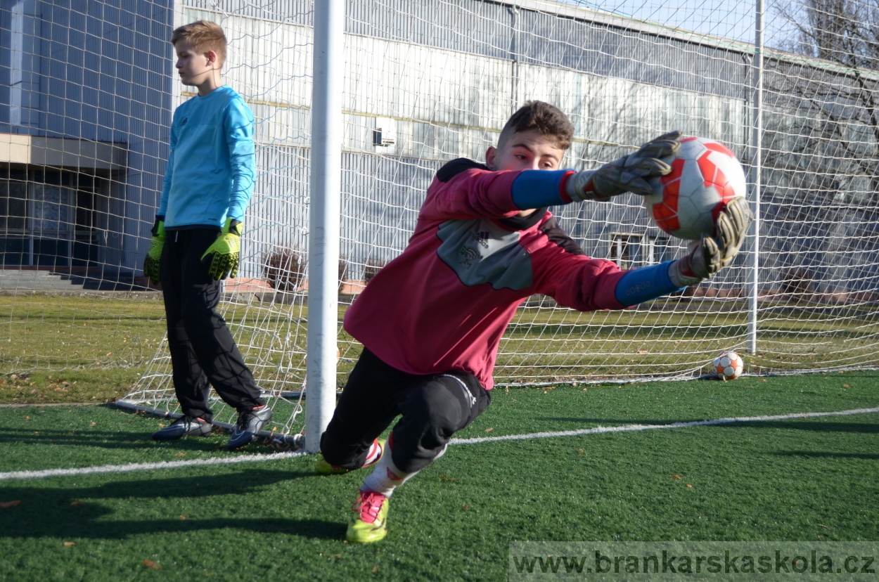 BFŠJCH - Zima 2016 - 9.2.2016