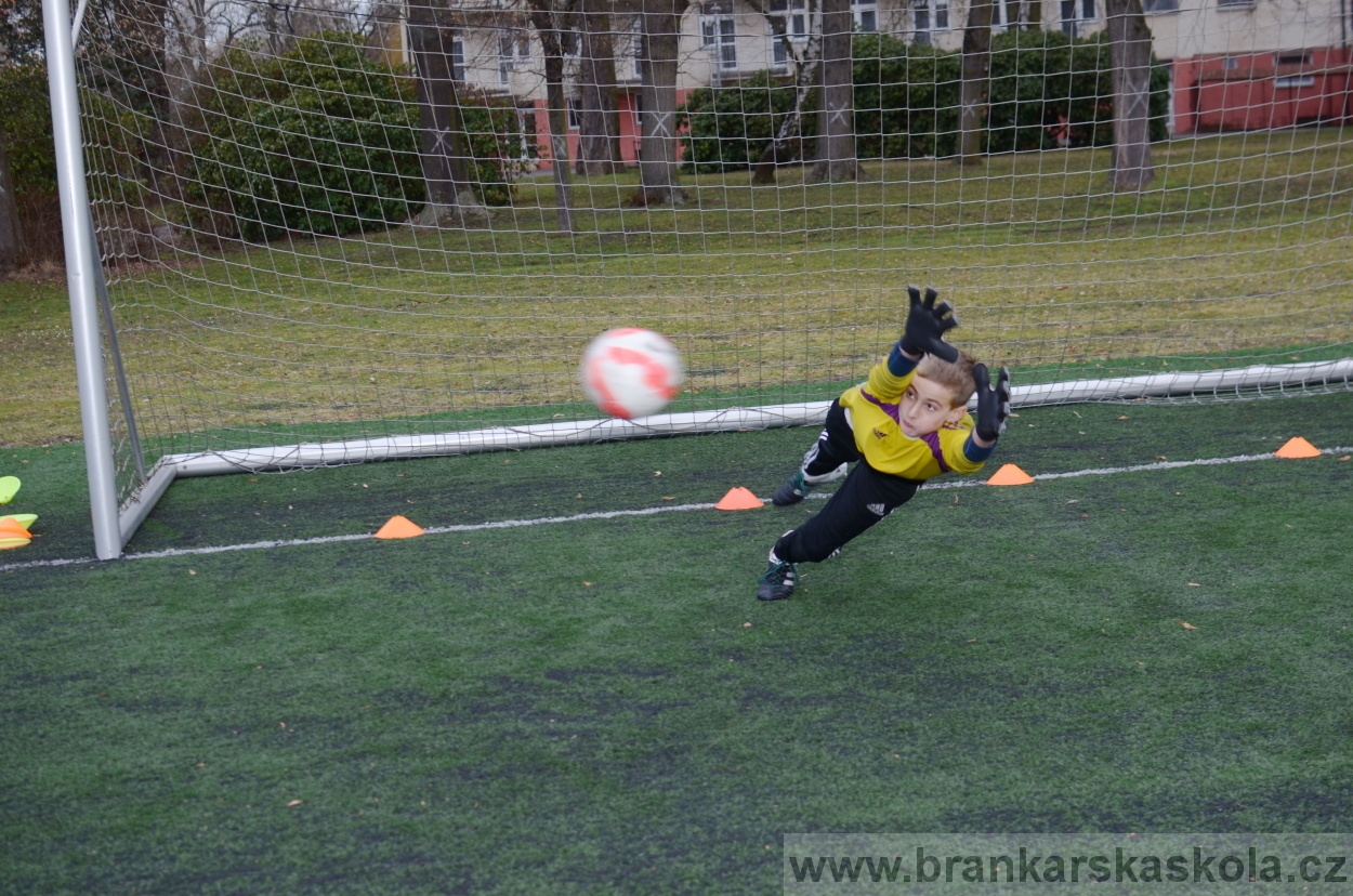 BFŠJCH - Zima 2016 - 9.2.2016