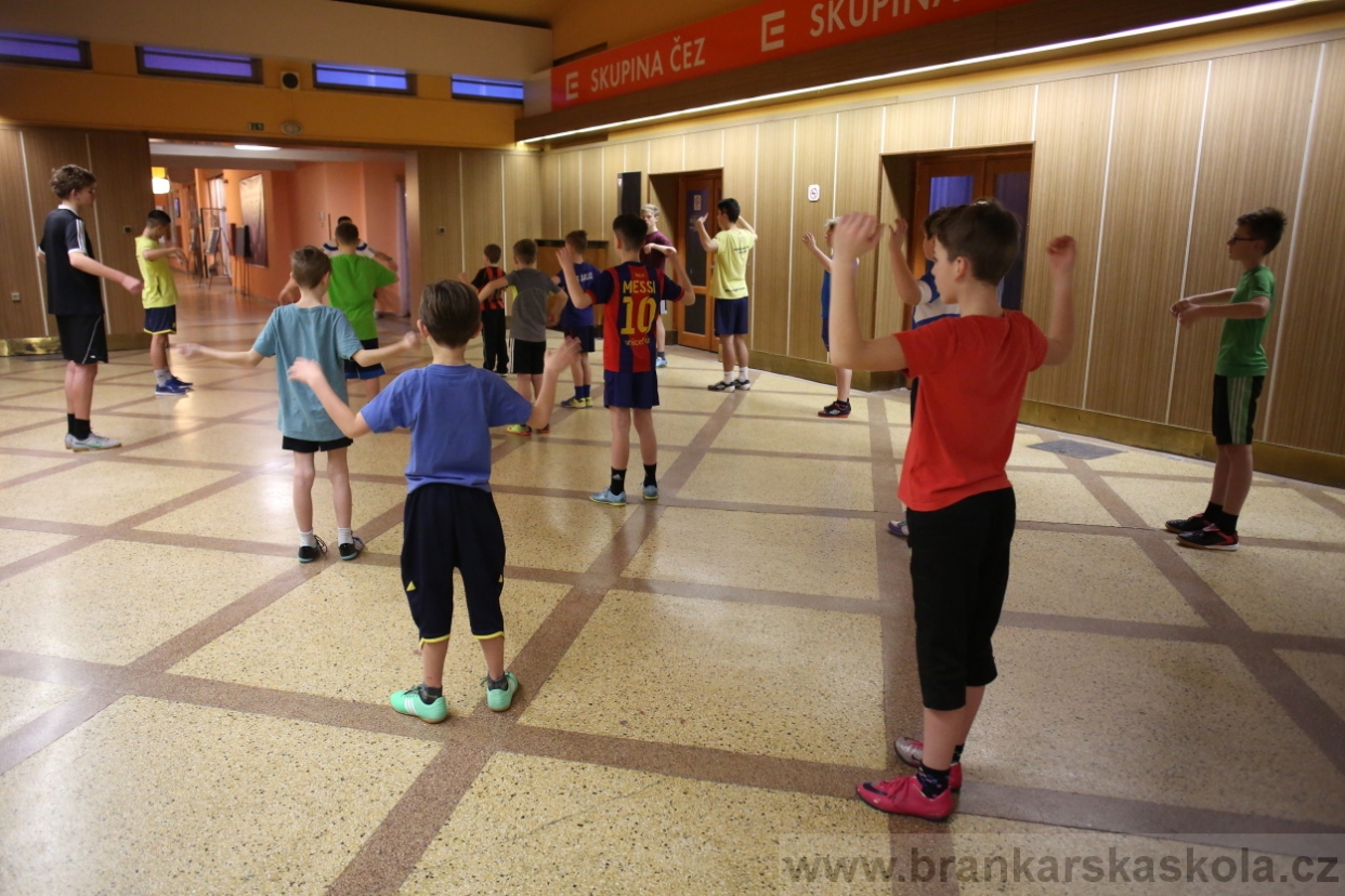 BFŠJCH - Zima 2017 - Ostatní