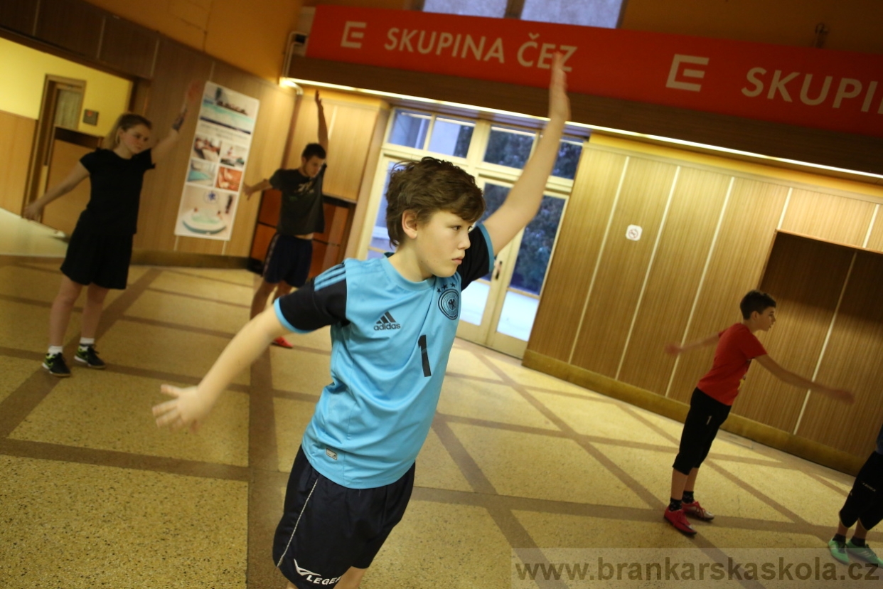 BFŠJCH - Zima 2017 - Ostatní