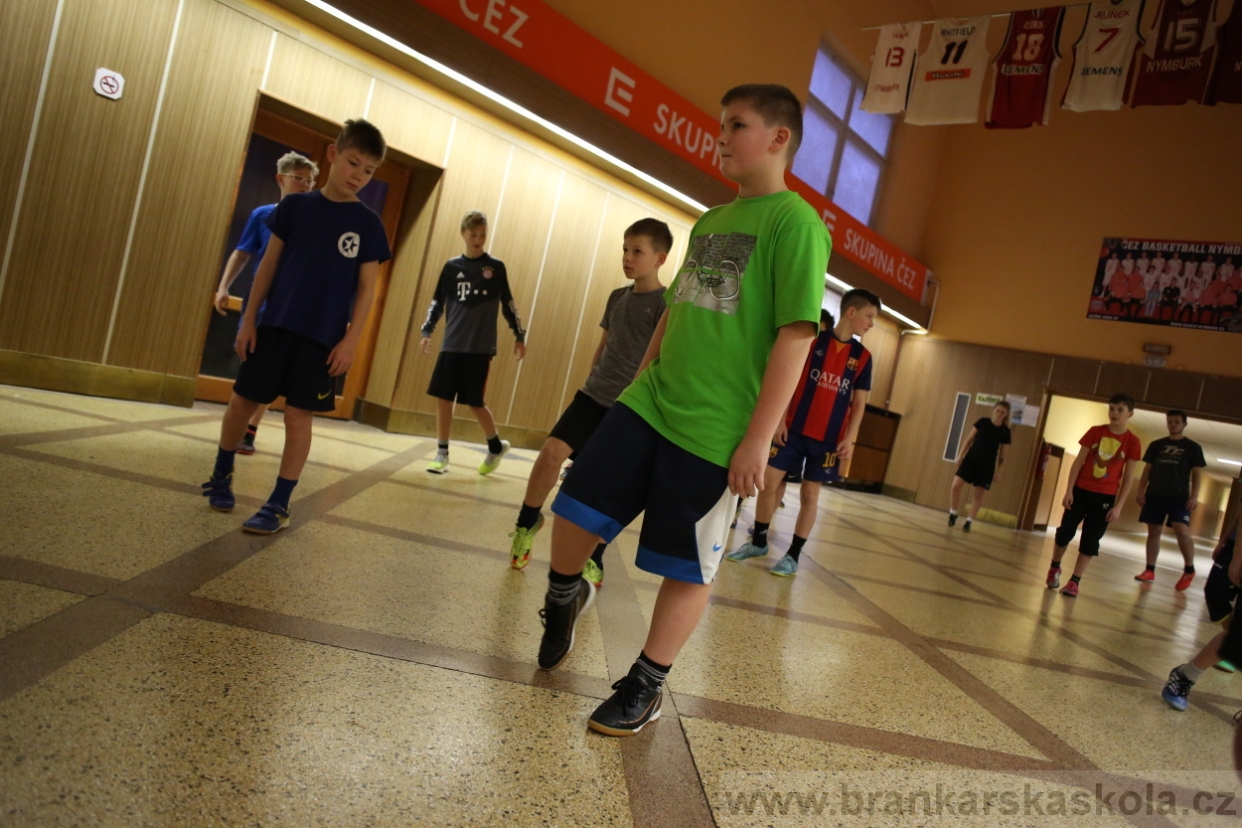 BFŠJCH - Zima 2017 - Ostatní