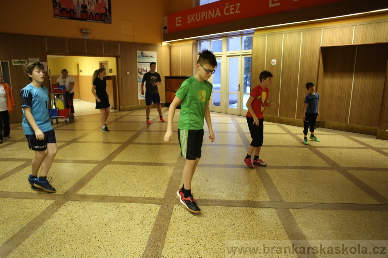 BFŠJCH - Zima 2017 - Ostatní