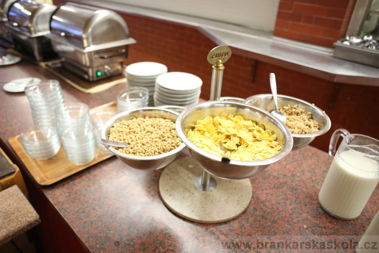 BFŠJCH - Zima 2017 - Ostatní