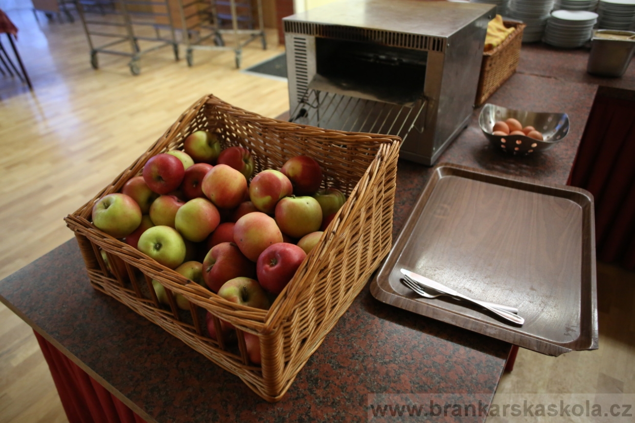 BFŠJCH - Zima 2017 - Ostatní