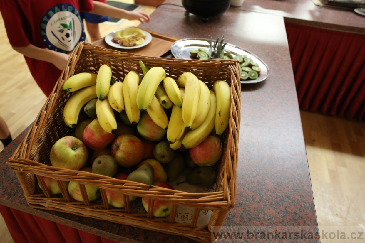 BFŠJCH - Zima 2017 - Ostatní