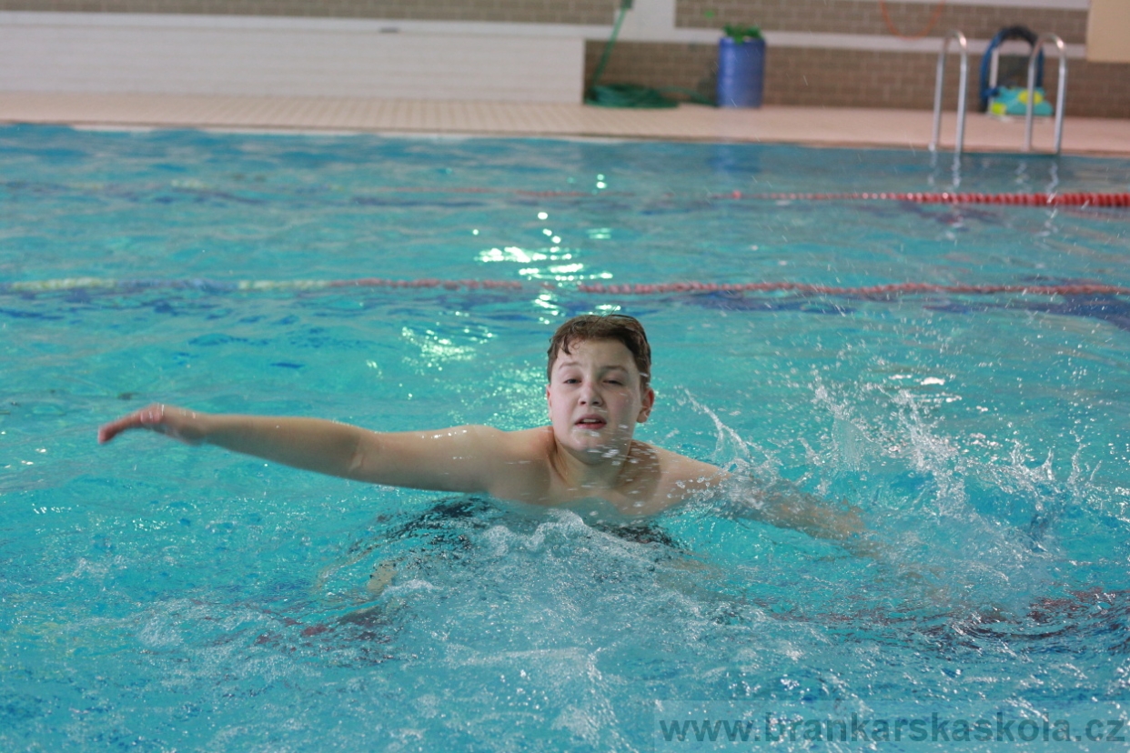 BFŠJCH - Zima 2018 - Neděle