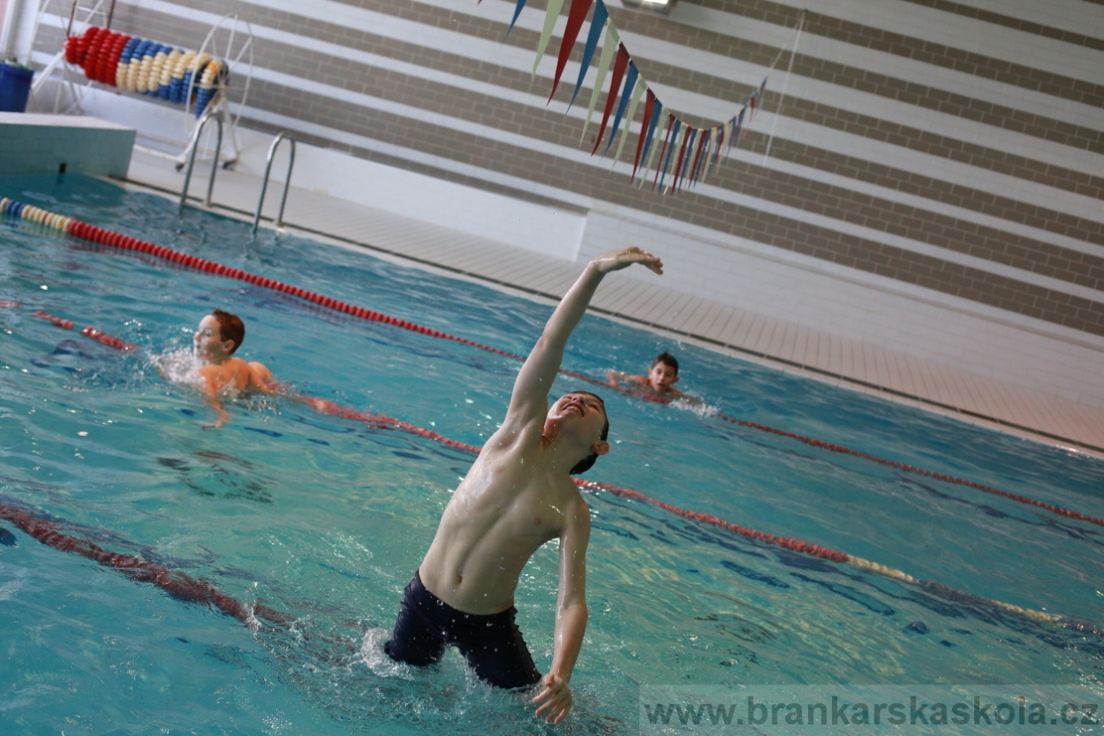 BFŠJCH - Zima 2018 - Neděle