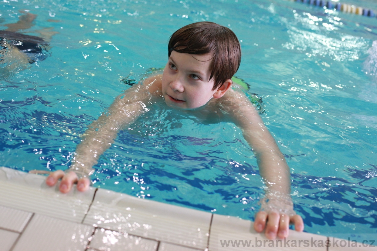 BFŠJCH - Zima 2018 - Neděle