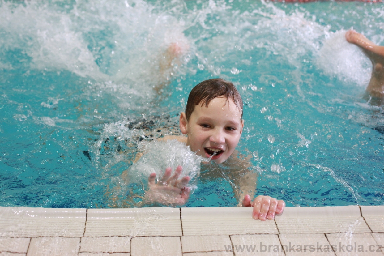 BFŠJCH - Zima 2018 - Neděle