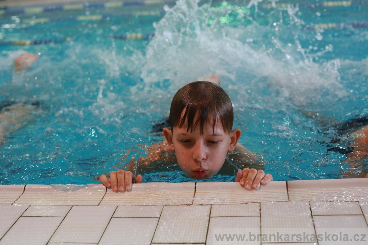 BFŠJCH - Zima 2018 - Neděle