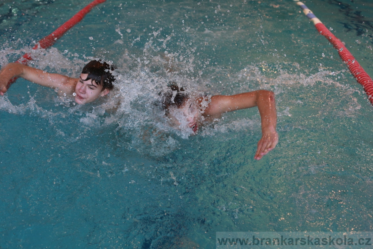 BFŠJCH - Zima 2018 - Neděle