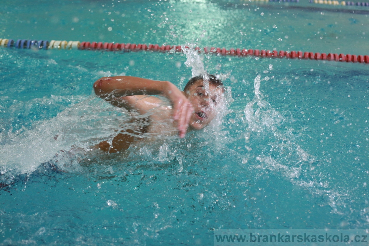 BFŠJCH - Zima 2018 - Neděle