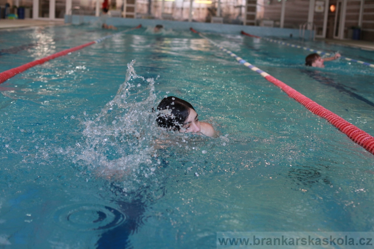 BFŠJCH - Zima 2018 - Neděle