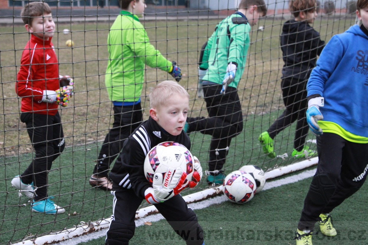 BFŠJCH - Zima 2019 - Sobota