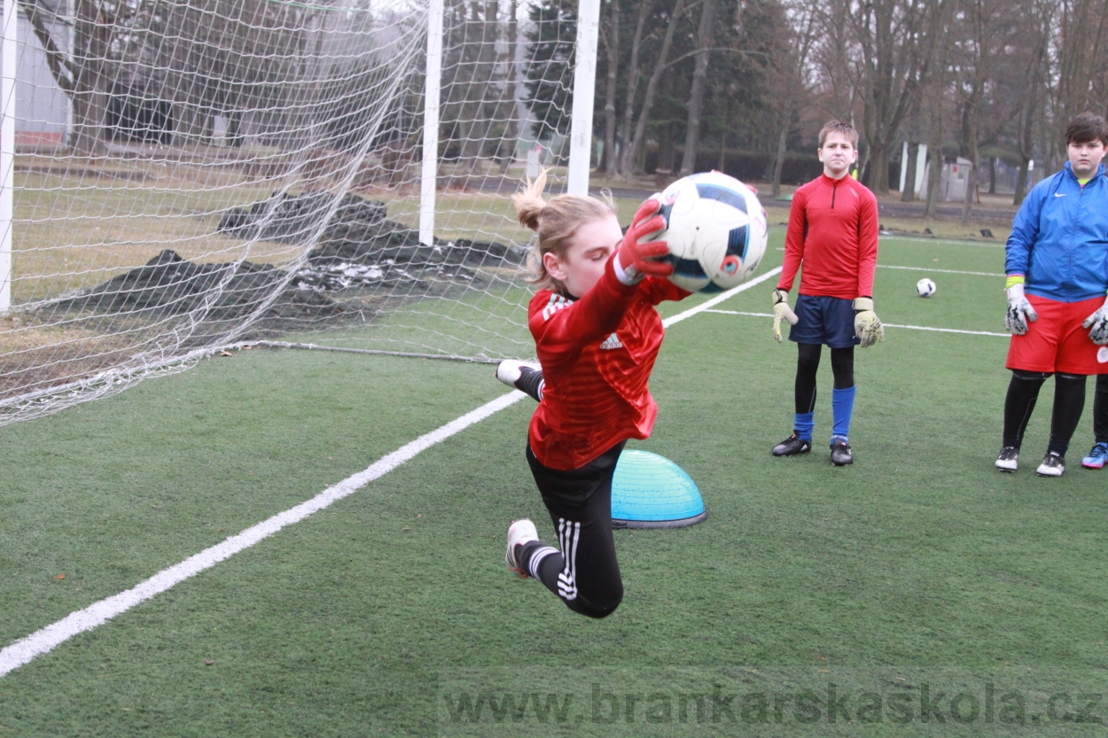 BFŠJCH - Zima 2019 - Sobota