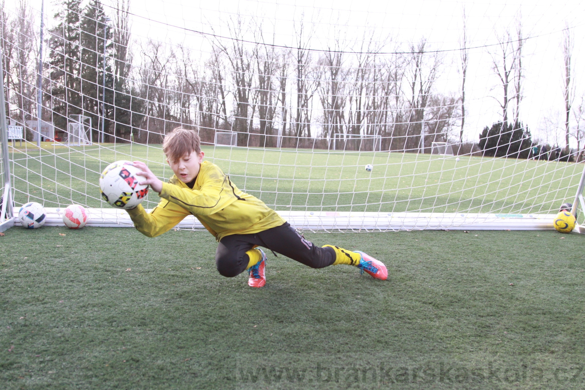 BFŠJCH - Zima 2020 - 2.2.2020