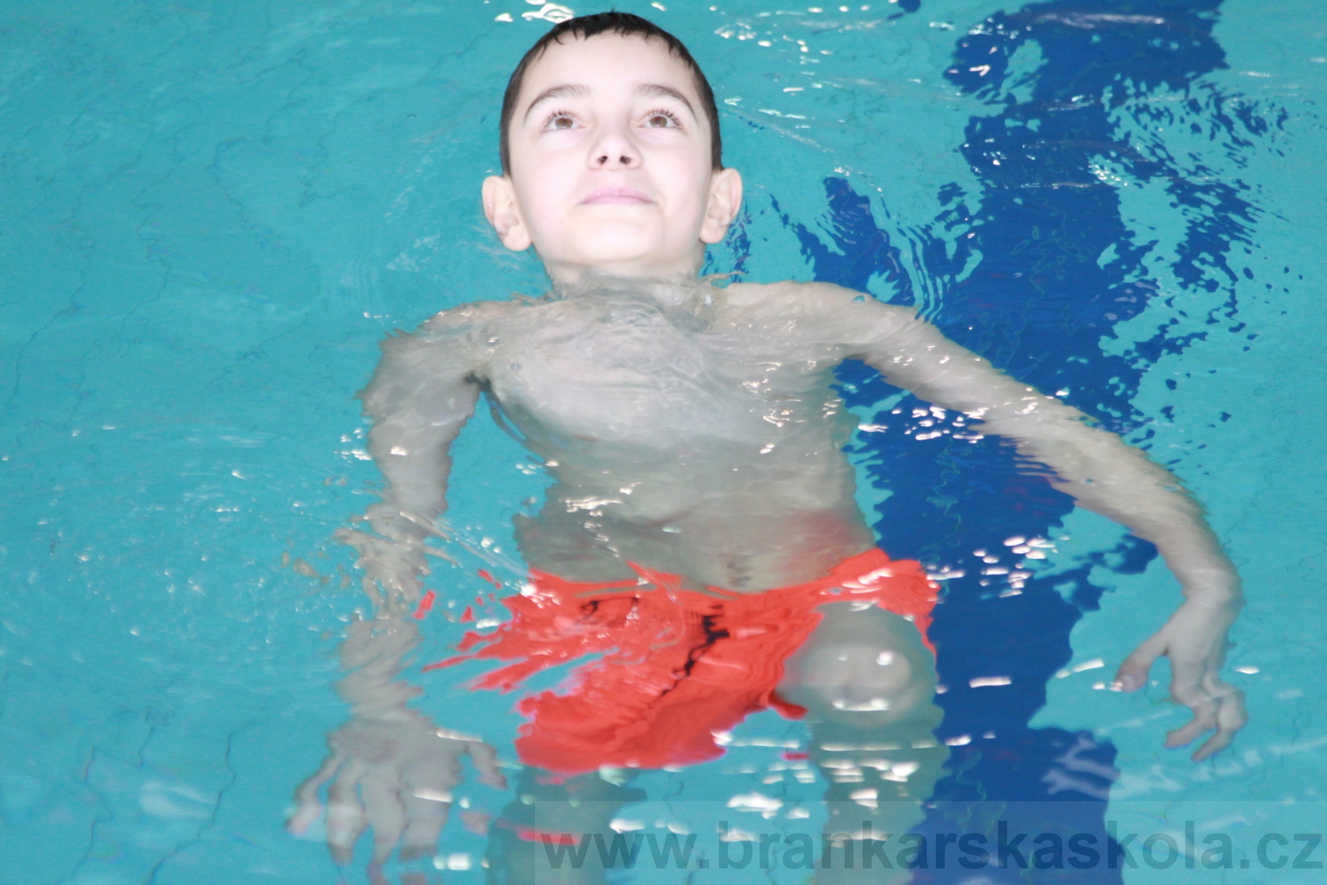 BFŠJCH - Zima 2020 - 2.2.2020